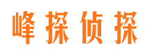 峰峰市侦探调查公司